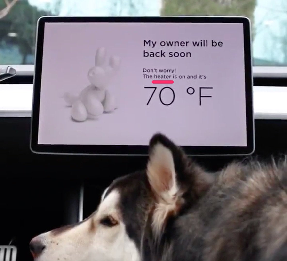cb_doge's tweet photo. @elonmusk @wholemars Change Dog mode to Doge Mode? https://t.co/alUbuEPU7A