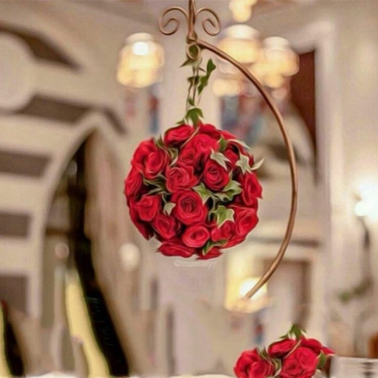 ذوق .. وجمال .. وقرةٍ .. وهّاجه✨