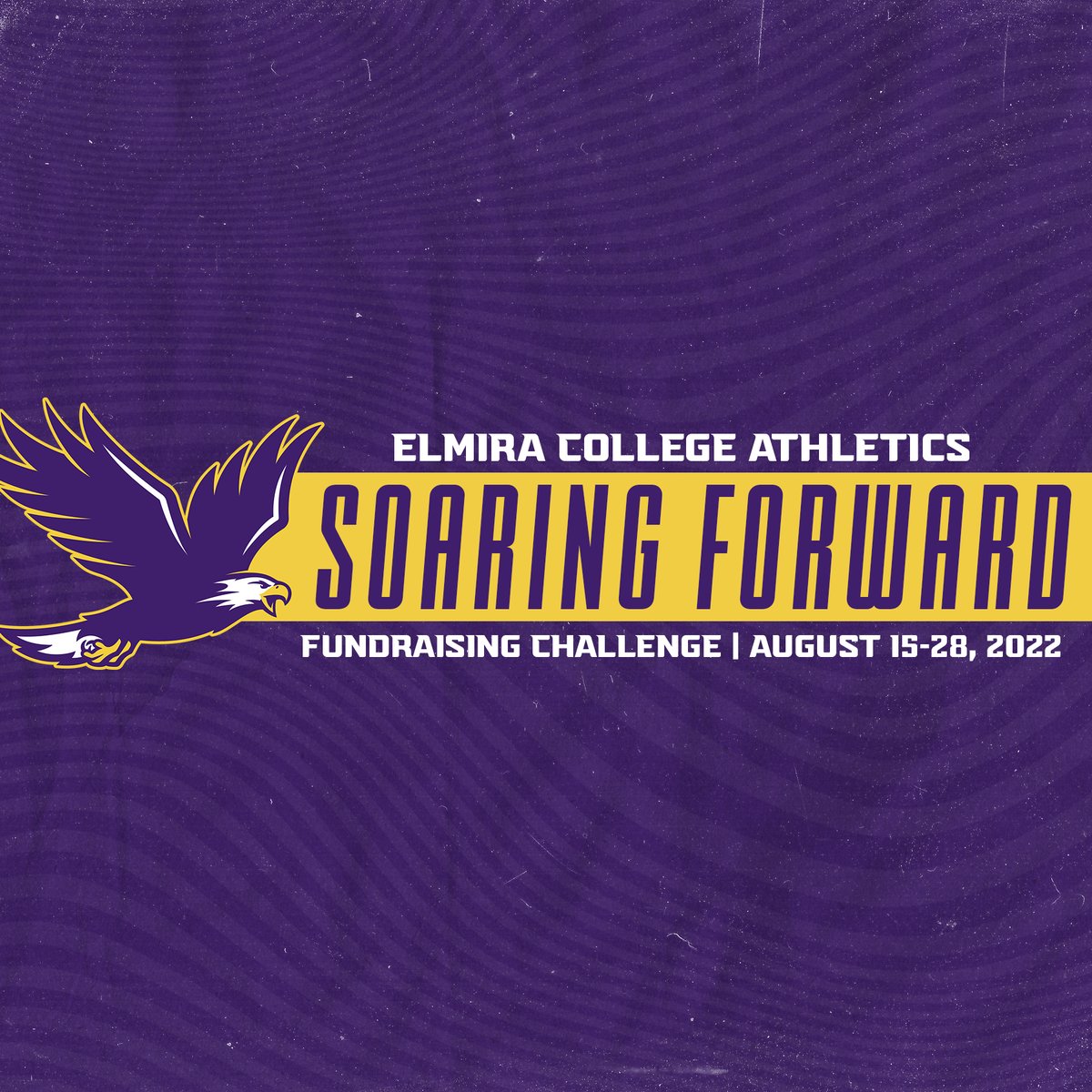 Elmira Baseball tweet media
