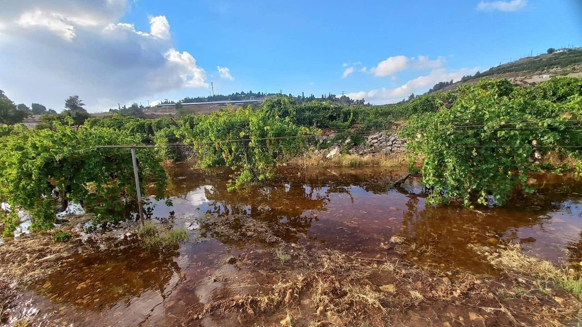 Timesofgaza's tweet photo. lsraeli settlers flood Palestinian-owned lands with sewage and wastewater in Beit Ummar, north of Hebron city. https://t.co/QR239uCjWi