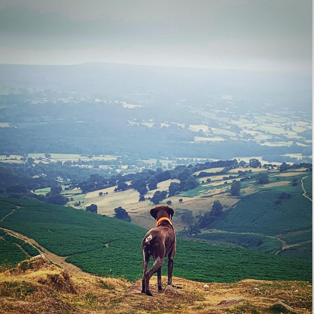 King of the hill Use #explorebreconbeacons to be featured 📷© @the_adventures_of_a_gsp