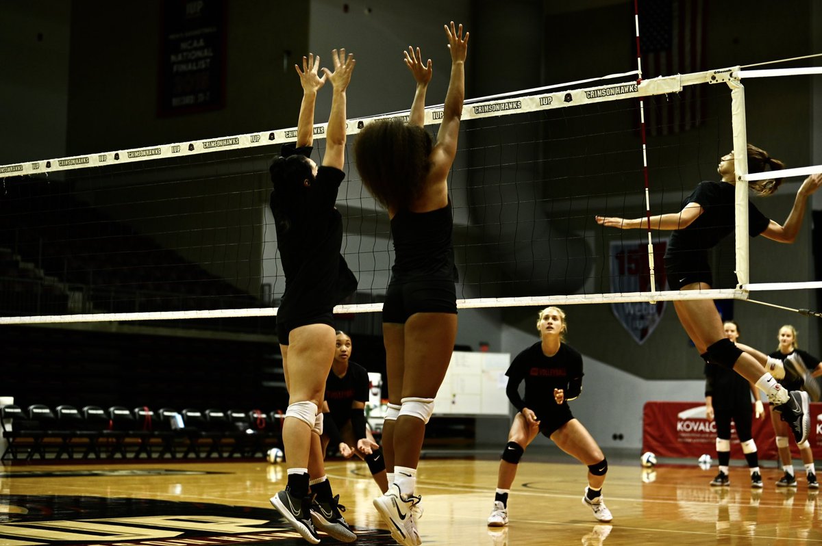 IUPVB's tweet photo. Just out here doing our thing 😎😤

#TalonsUp | #VolleyHawks https://t.co/Sc58gXeoQc