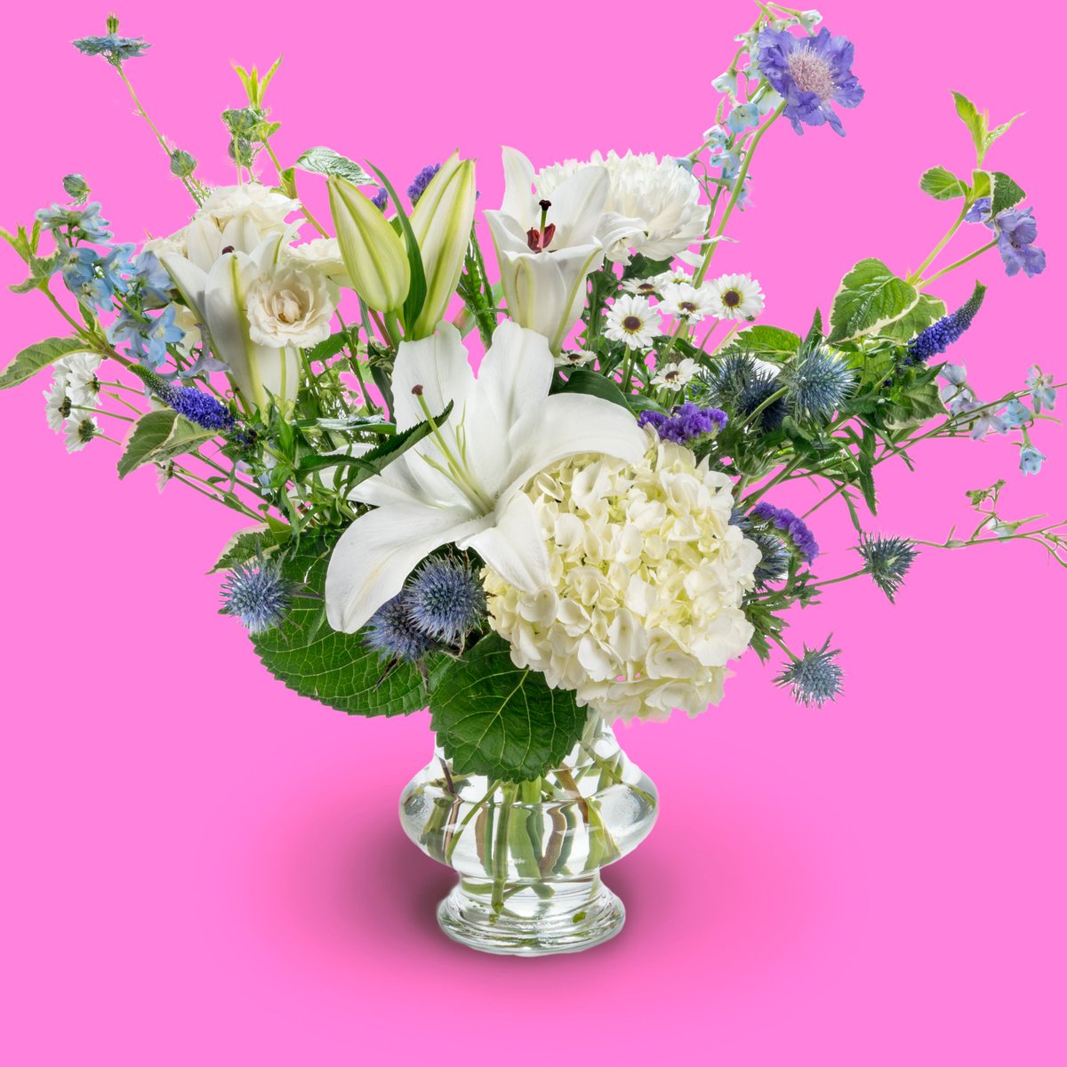 TrappandCompany's tweet photo. Everyone needs a little summertime something to brighten this rainy day. We have created an elegant and classic arrangement with the perfect pop of blue! 💙#shoplocalkc #kcmo #shopsmall #shopkc #kcgifts #kansascity #smallbusiness #smallbusinesskc  #trappandcompany #Trappcandles https://t.co/1tgTx2TmUR