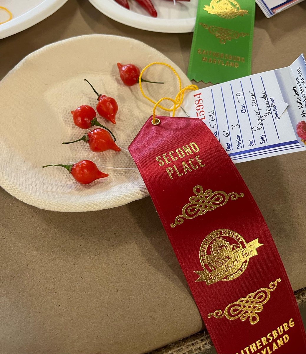 WDCGardener's tweet photo. We’ve got ribbons! Most of the veggies did well, but not so many for the flowers this year. #gardendc #mocofair #ribbons #countyfair https://t.co/lk9FNqgbFn