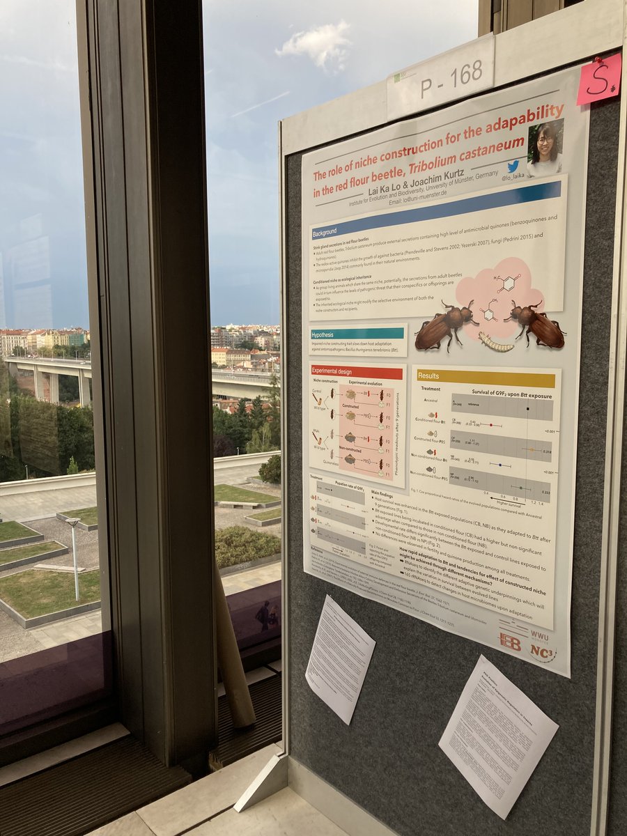 Animal Evolutionary Ecology Group tweet media