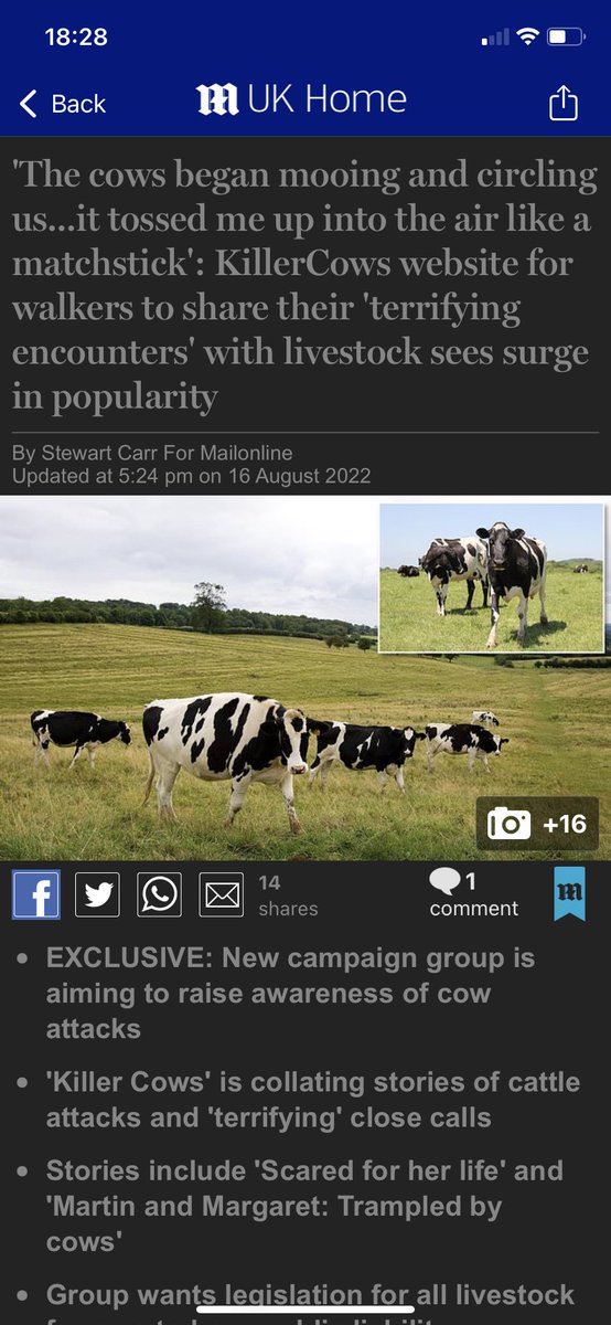 zoesmith98's tweet photo. Media reports like this infuriate me. Stewart Carr, you have jumped onto a story, given little regard to the consequence of naming farmers and this is poor and quick reporting. @MailOnline this article is one sided. #killercows @CLANorth #livestock #mailonline https://t.co/GZbVBTIdgg