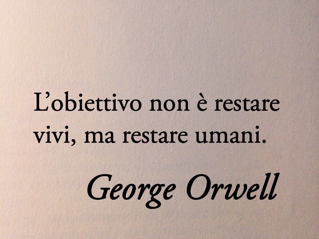 Immenso George Orwell 📚