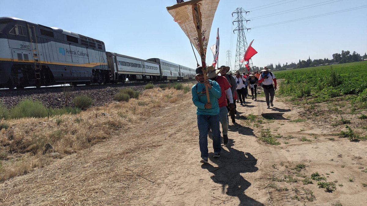 UFWupdates's tweet photo. Today's 18 mile leg of the march is from Merced to Livingston. We've just passed Atwater CA, so we've marched about 9 miles and have 9 to go. Today's high is predicted to be 106°, but that doesnt deter us. We are determined to reach Sacramento and tell @CAgovernor sign #AB2183 https://t.co/vCH35OcT6x