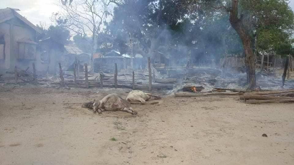 Myanmar_Now_Eng's tweet photo. Members of Myanmar's military torched nearly almost all of the homes in Ahtet Chaing Zauk and Aut Chaing Zauk, two villages northeast of Pauk with about 100 households, according to Magwe PDF. 

Photos - supplied 

#WhatsHappeningInMyanmar
Photos - Supplied https://t.co/oKXEsZqC8C