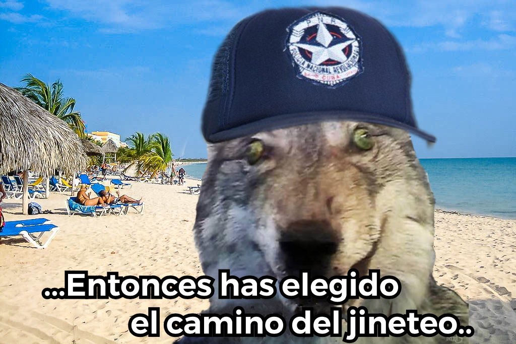 *me acerco a un yuma en la playa*

un policía que salió de la nada: