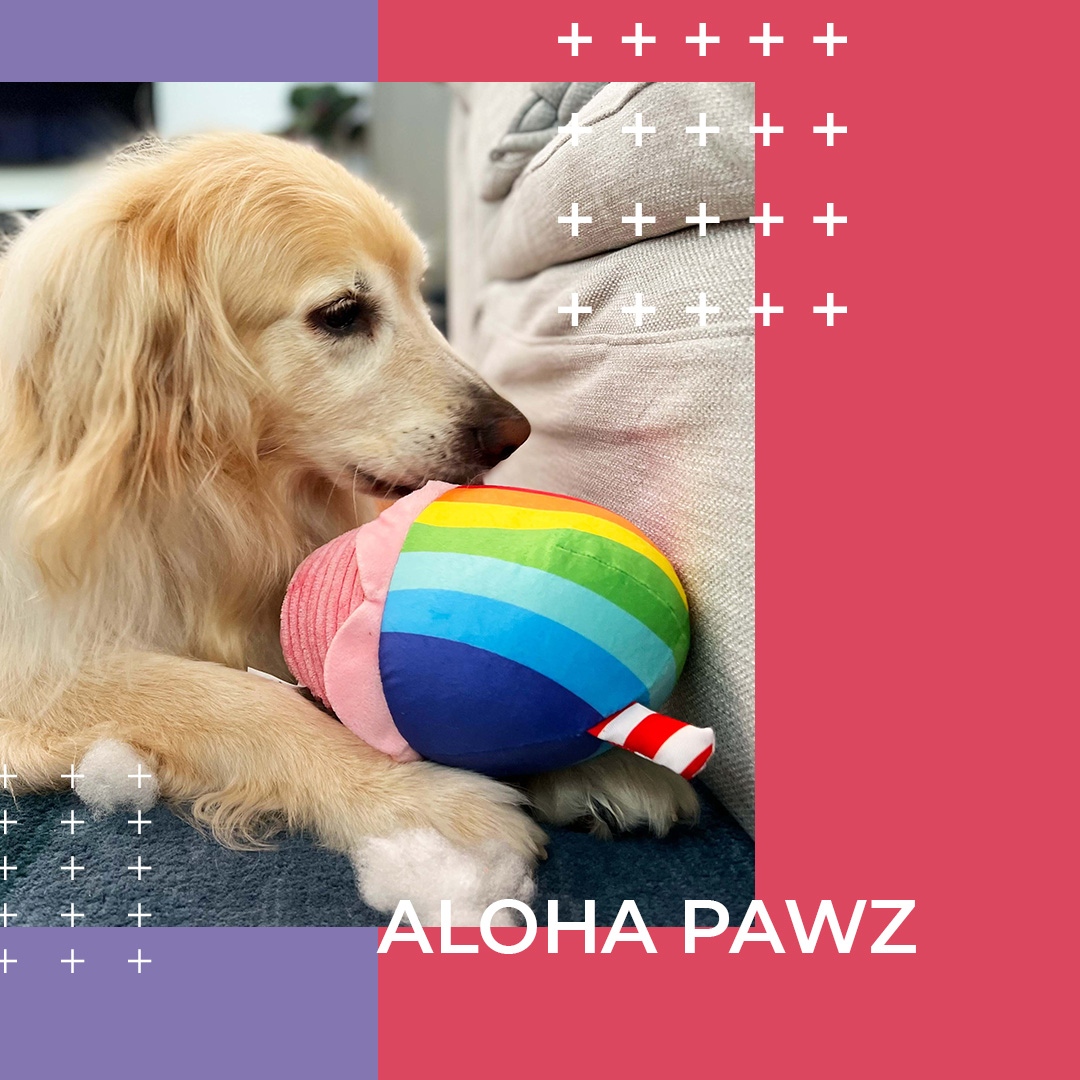 Small businesses are our jam. That’s why we love our client, Aloha Pawz – a female & locally owned pet store in Hilo, HI. Follow them on IG to show your support & see our love for small biz come through via their social. #vibetribe💙 #alohapawz #hawaiiisland #hawaiimade