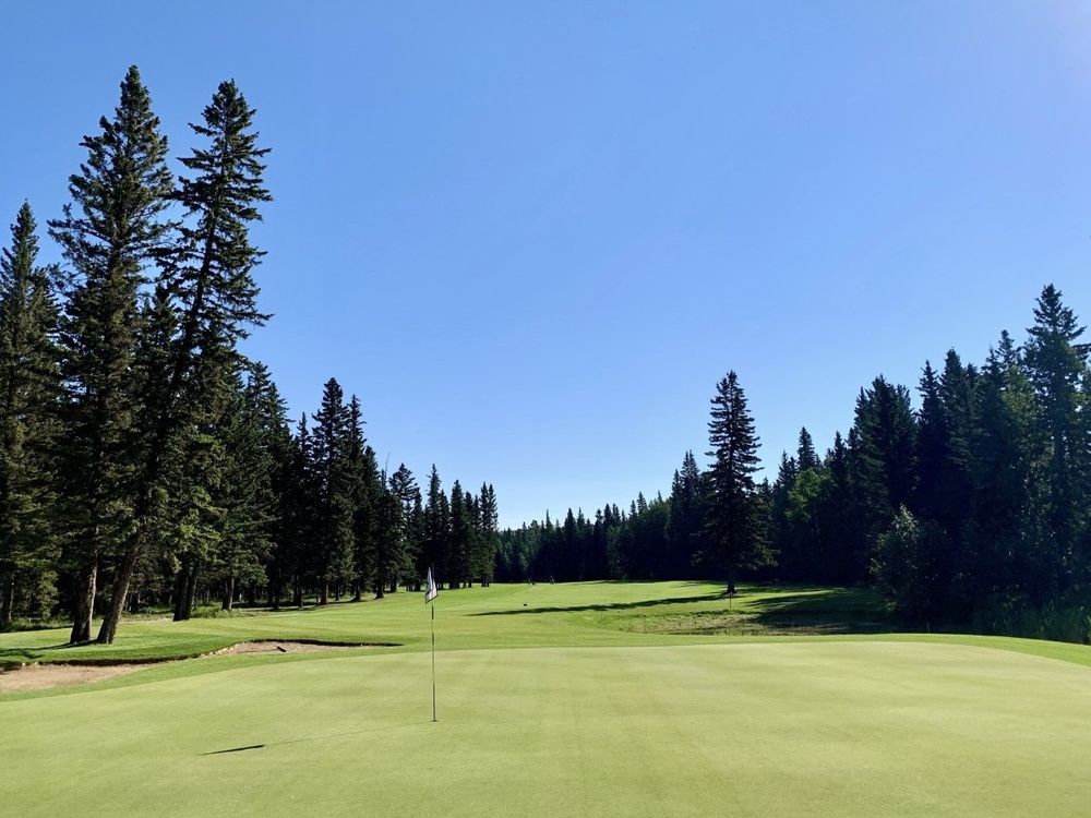 redwoodgolfclub's tweet photo. Check out this article in the Calgary Sun by @WesGilbertson who recommends Redwood Meadows, a "tree-lined charmer located west of the city and proudly owned and operated by Tsuutโina Nation."
https://t.co/HLmwZ8bUJn
#yycgolf #golfcalgary #golfyyc #tsuutina #tsuutinanation https://t.co/9oZxIwU5Fi