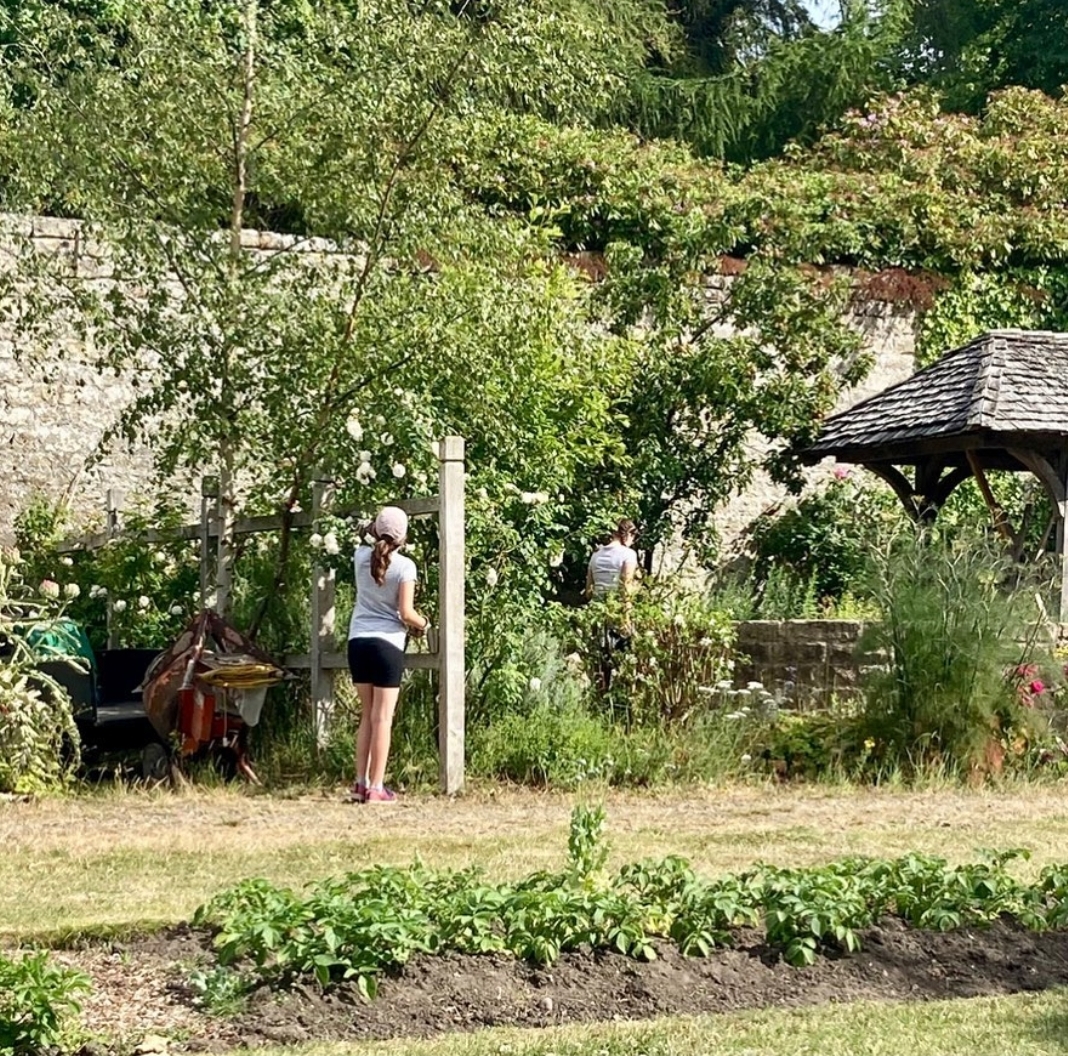 The lovely folk at growwestfife.org got in touch to look to connect with any resettled Afghans near Fife who might want to spend an afternoon in their beautiful walled garden away from hotel / temporary accommodation. Please pass the word! hello@growwestfife.org
