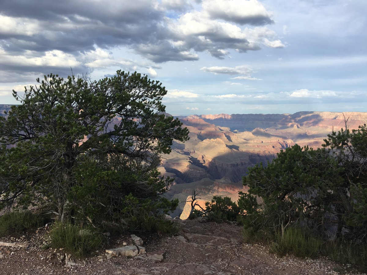 Bob Shriver tweet media