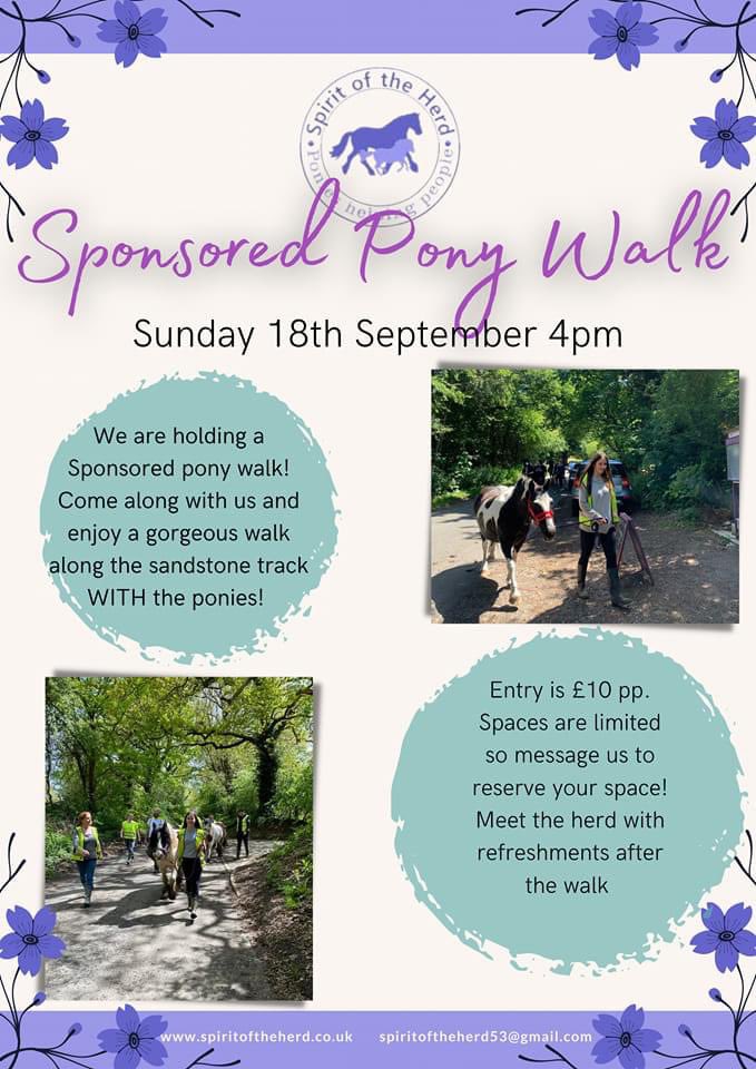 #horseshealinghumans #ponysanctuary #horsesanctuary  #equine #equineassistedtherapy #mentalhealthawareness #horsesinrehabilitation #ponies #cobs #horse #horses #ponywalk #sponsor #sponsoredponywalk