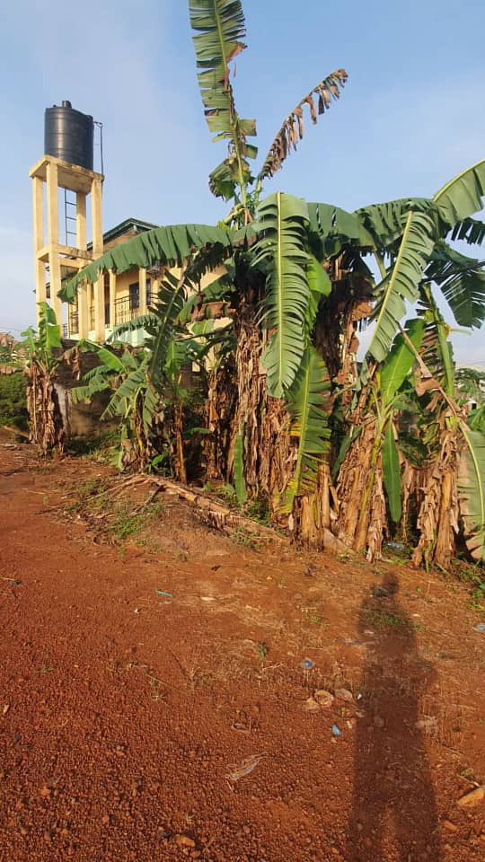 One_Immobilier's tweet photo. #yaounde #ahala #meyo

Terrain Titré à vendre  à Ahala Meyo à 300m du lycée d’Odza et de l'autoroute

Emplacement de choix. Secteur résidentiel

Sup : 496m2

Documents: A jour

1 signataire par devant notaire.

Prix : 35.000 f/m2

 #immobilierdeluxe237 #realstateagent #terrain https://t.co/dxflPCRXmX