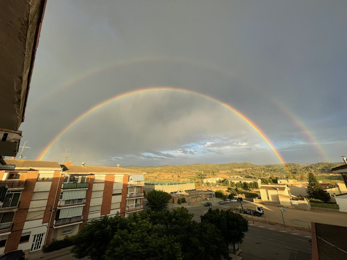 Damià Amorós i Albareda tweet media