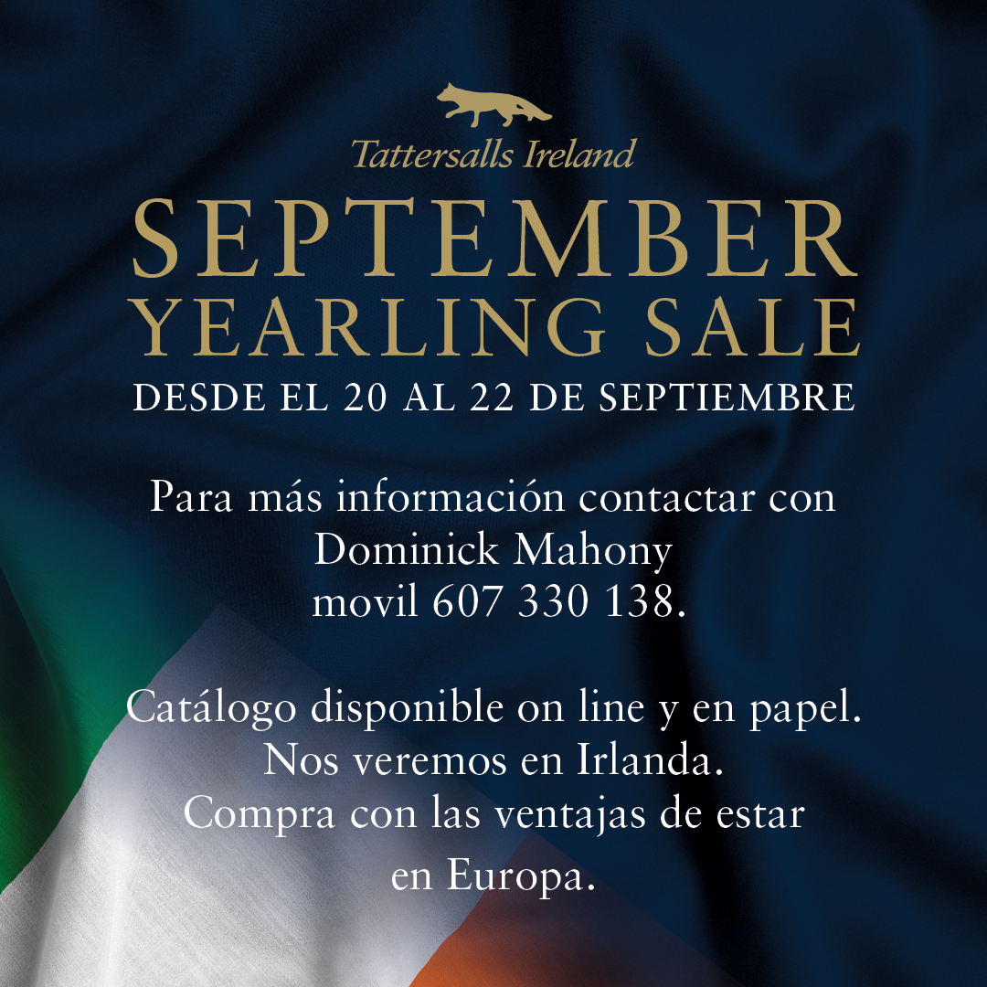 Tattersalls_ie's tweet photo. 💥September Yearling Sale💥

We are looking forward to welcoming back our @TattsEspanol friends to Tattersalls Ireland in September where they will be looking to find the next Spanish Derby winner, just like WHITE KING. 

20 - 22 Sep

View the catalogue https://t.co/mZcOnHtCGd https://t.co/3CaegjSzbZ