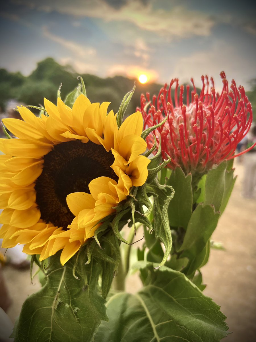 Wat een indrukwekkende 💙 Indië-herdenking in #DenHaag. Na de coronajaren zonder herdenking of <a href="/tongtongfair/">Tong Tong Fair</a>, was dit het gesprek: “Wat zijn veel mensen er niet meer🖤” Zo herdachten we gisteren slachtoffers vd Japanse bezetting &amp; dierbaren die we de laatste jaren verloren zijn❤️