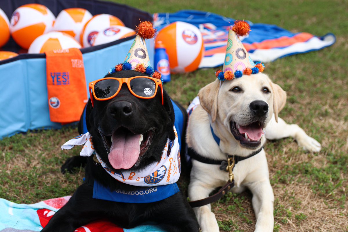 Happy 1st Birthday to my pawsome and stylish best fren - Monte!! @NYIslanders 🥳