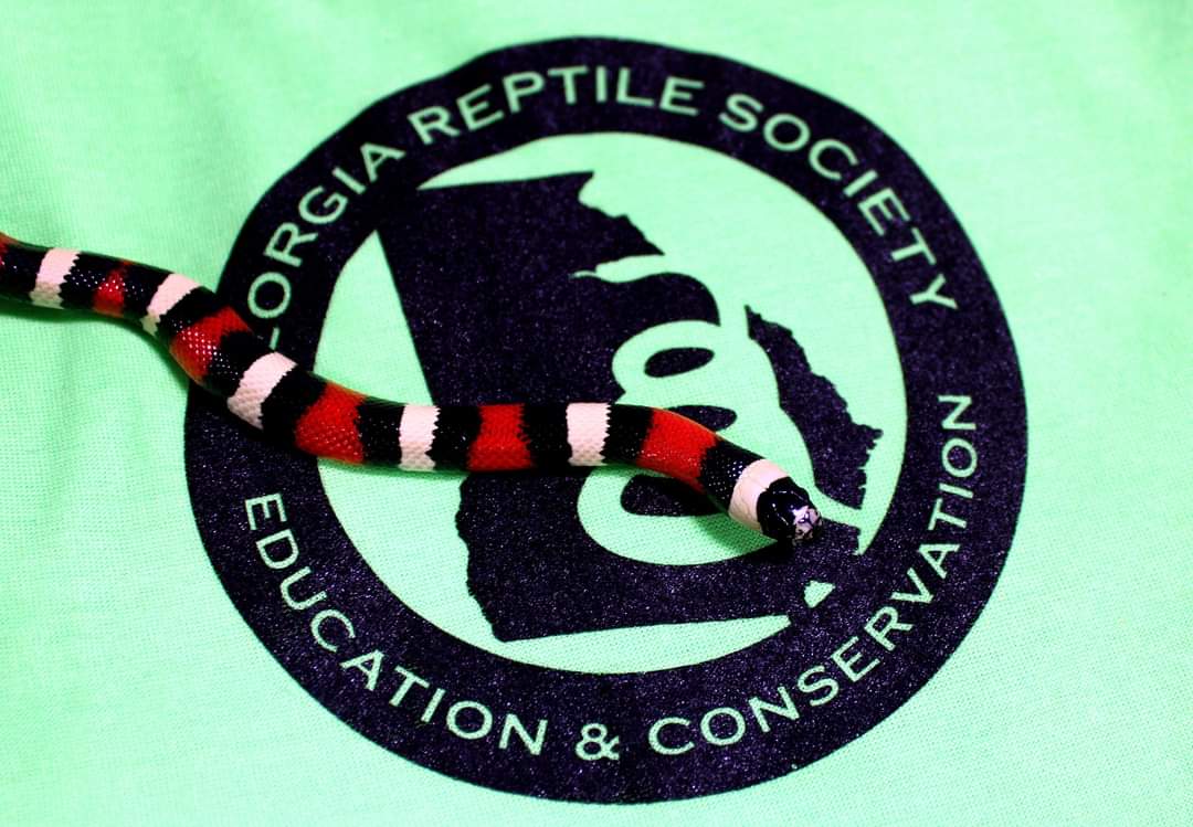 GeorgiaReptileSociety tweet media
