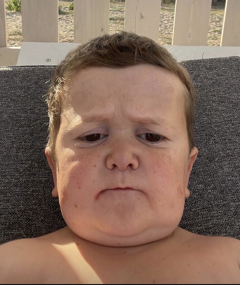 HasbullaHive 🐐 tweet media