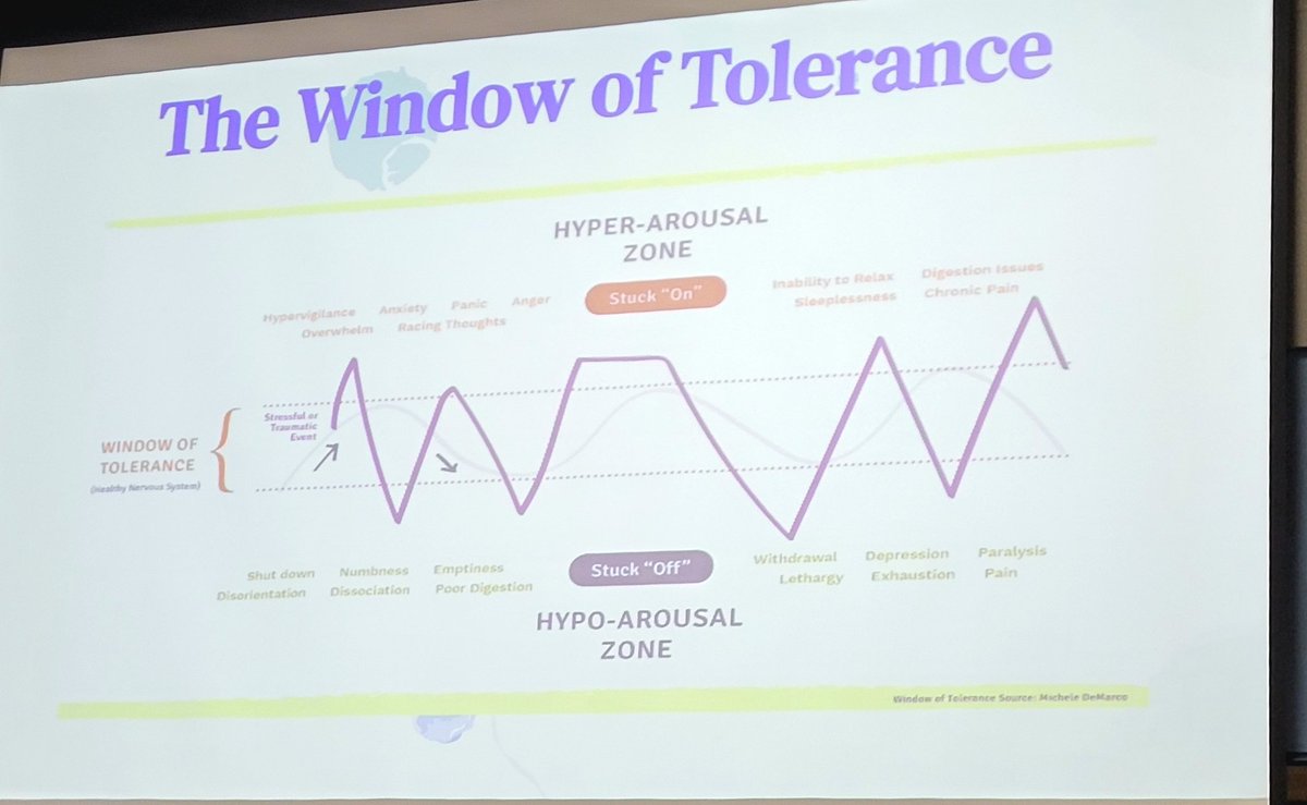 HSeslteacher's tweet photo. Window of Tolerance #AmesLearns #TSS https://t.co/5QS8Ql3p8m