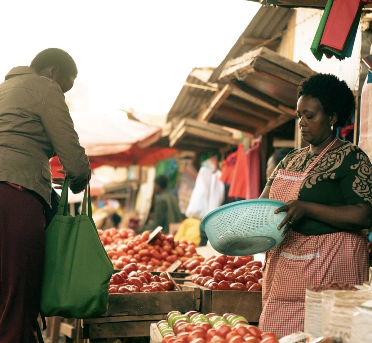 cariboudigital's tweet photo. Social agriculture is a dynamic, youth-led part of the future of #agriculture and an important aspect of digital transformation.
✨ Here are ten things to know about social agriculture:
https://t.co/FUrzHjEIHF
#PlatformLivelihoods @MastercardFdn @habitusInsight @learn_ink https://t.co/J9um79vHFZ