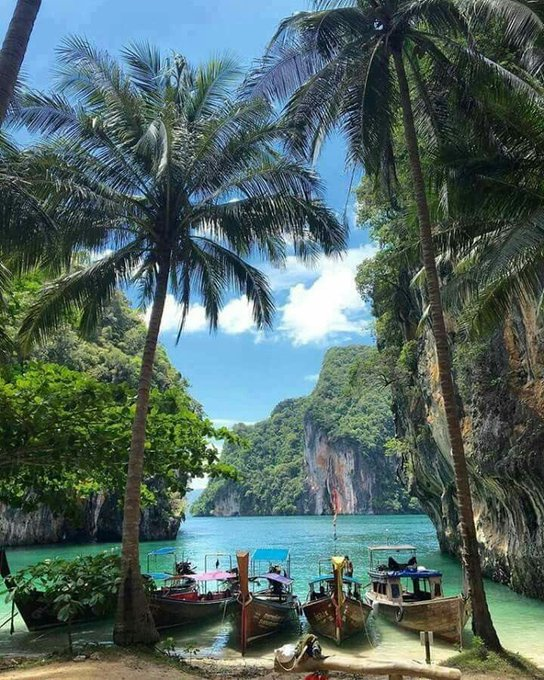 joanna_crypto's tweet photo. Guess where this is?
#Twitterview #TwitterPhoto #TwitterShare #TwitterBeach https://t.co/dMwOEkkT9h