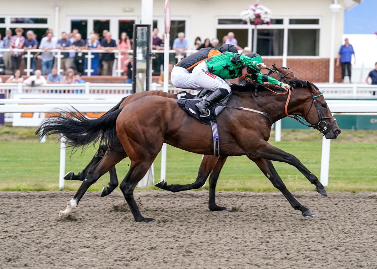 WilliamsStuart's tweet photo. Bear Profit lands a second career success @ChelmsfordCRC under a brilliant ride by @HollieDoyle1. Congratulations to his owners Spiers, Barratt &amp; Signy 🏆 

#SWRacing #TeamDiomed #Horseracing https://t.co/DmvU8eH0sK