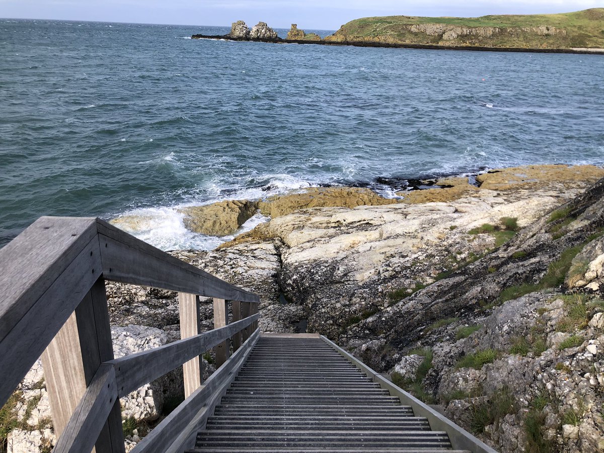 mcdomia's tweet photo. After work cleaning day changed to a windy fresh air evening at seaside
#goodchoice #augustwinds #lookatherhair #canyouhearthewind #thisisireland #outandabout https://t.co/MIninXdrwm