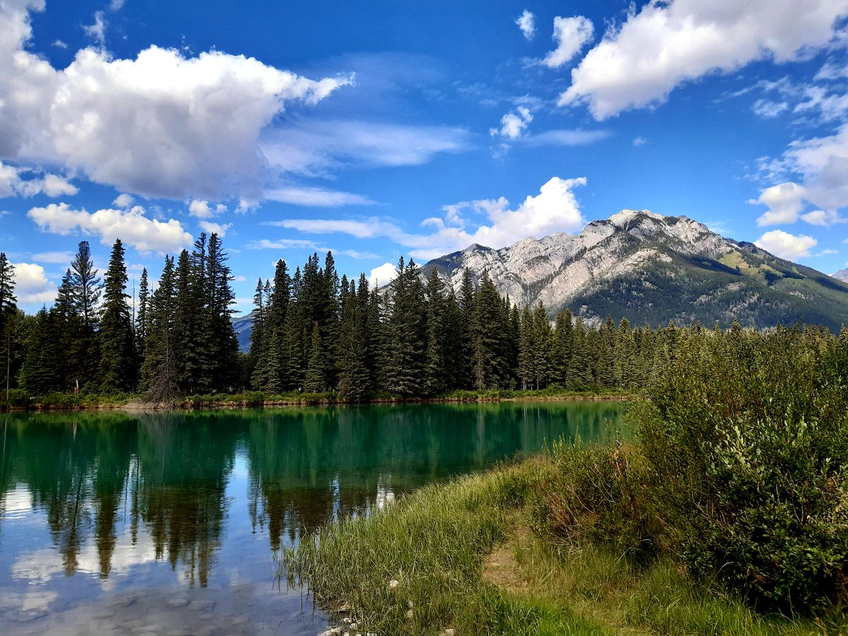 SarahBeddow1's tweet photo. Loving Canada. The scenery is just stunning @BanffNP @adebeddow https://t.co/xlBVdDoevT
