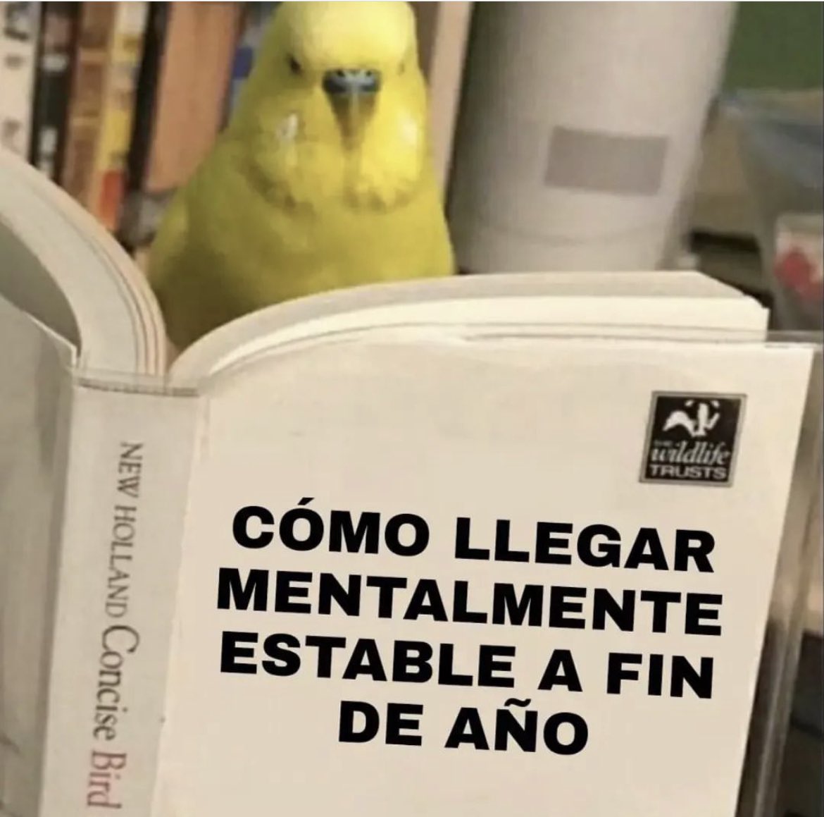 daphnella's tweet photo. Estoy a punto de no lograrlo https://t.co/aPaKY1q224
