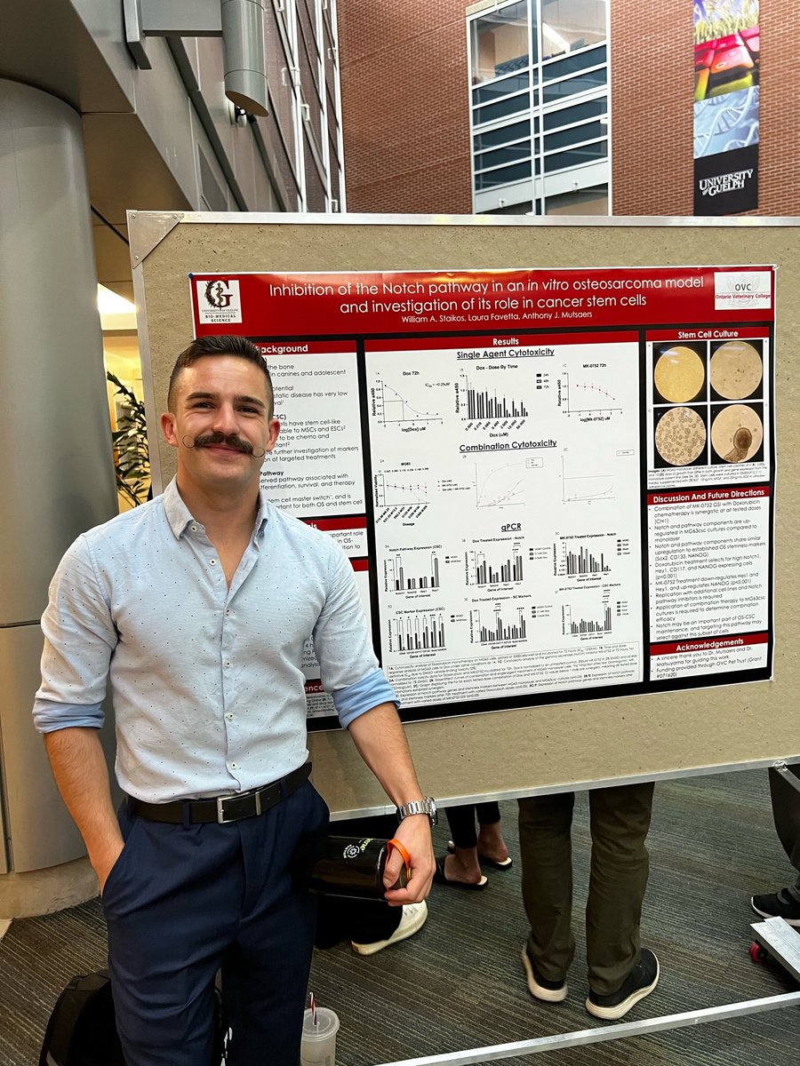 Anthony J. Mutsaers tweet media