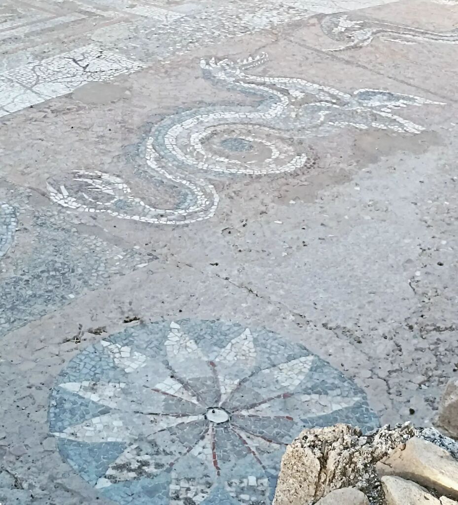 lauradebe's tweet photo. #animalifantastici e dove trovarli #monasteracemarina #kaulonia #museokaulon #mosaici #coloniagreca #mostromarino #delfino #archeologia #scaviarcheologici https://t.co/eaRpMV0bc8