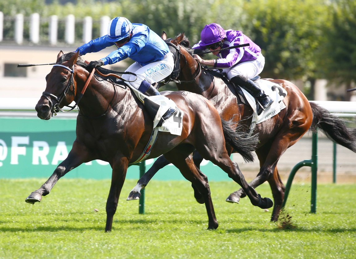 kevinblake2011's tweet photo. My thoughts and selections for day one of the York Ebor Festival including some deep-dive reasoning for opposing Baaeed in the Juddmonte International. RTs appreciated. https://t.co/8aouN3zWQX https://t.co/cNVosXxTqC