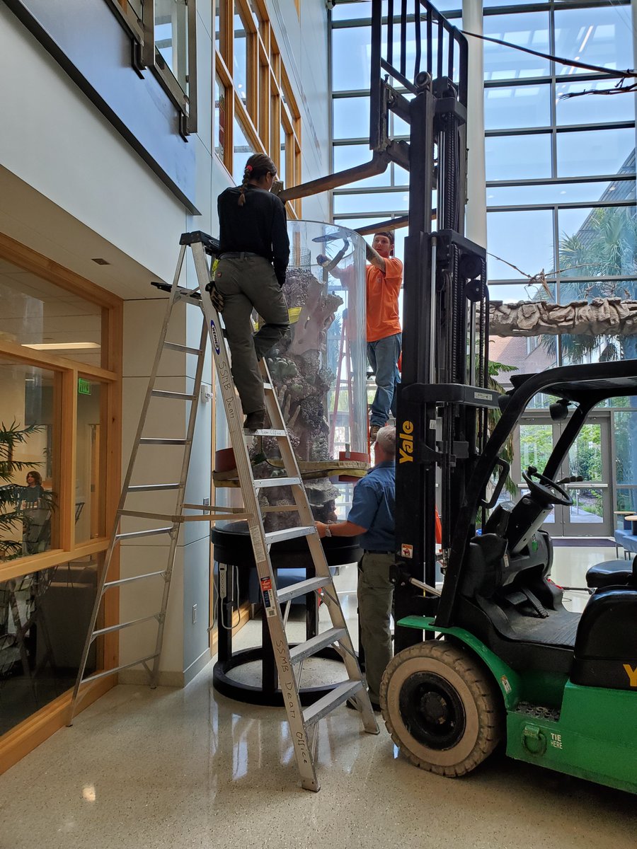 CofC School of Natural and Environmental Sciences tweet media