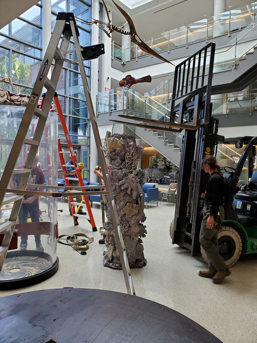 Our SSM Dean is always working on something around here. Today it was the aquarium. We will be repurposing this in the near future. Some of the ideas so far are a terrarium, a scientific instrument display, and even a lava lamp. It served as a dean holding tank this morning.