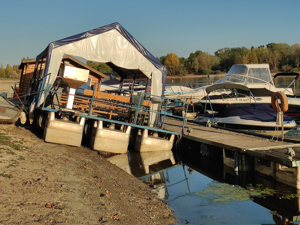 hpt_ger's tweet image. #Niedrigwasser an einem #Rhein Seitenarm zwischen #Altrip und #Ludwigshafen - gemütliches Beisammensein der Bootsclub-Mitglieder nur in Schräglage möglich. :-)