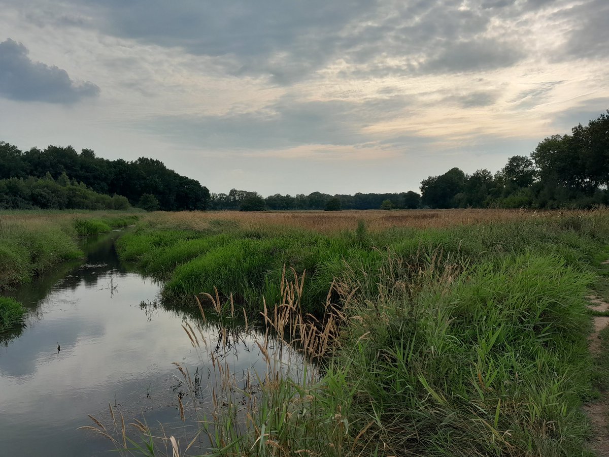 Vandaag de werkdag afgesloten in de #Drentsche_Aa #genieten #beleven @Recreatieschap