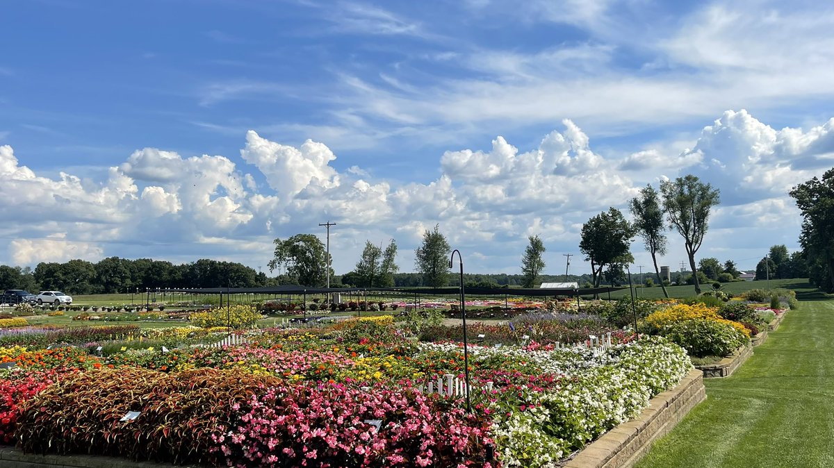 Tanya Carvalho tweet media