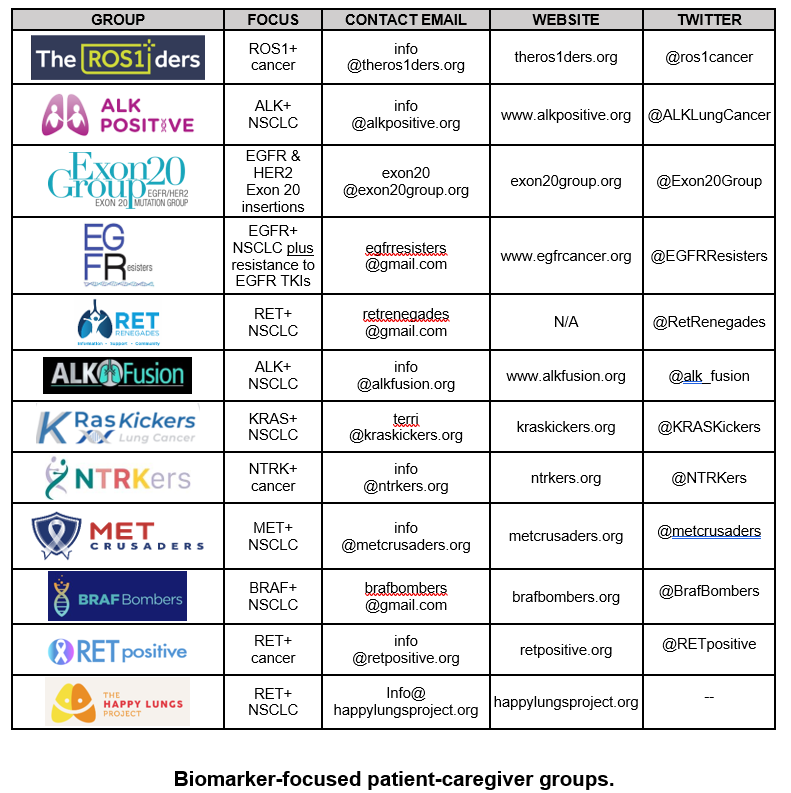 2022-08-16 Updated chart of Biomarker-focused patient-caregiver groups. #LCSM @ros1cancer @ALKLungCancer @Exon20Group @EGFRResisters @RetRenegades @alk_fusion @KRASKickers @NTRKers @metcrusaders @BrafBombers @RETpositive