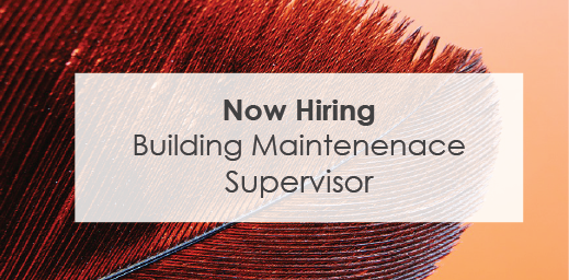 NemadjiMN's tweet photo. We're looking to add a Building Maintenance Supervisor to our team! 
https://t.co/Sh3jq5WijC
#jobopportunity https://t.co/XbBKpnKz34