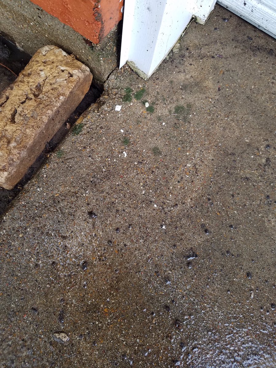 ShoweAuto's tweet image. Before &amp;amp; After
Dirt, mold, and nastiest builds up over time. Let me take care of that to instantly improve the curb appeal of your home! (214)429-9156 Call/Text for a free quote .