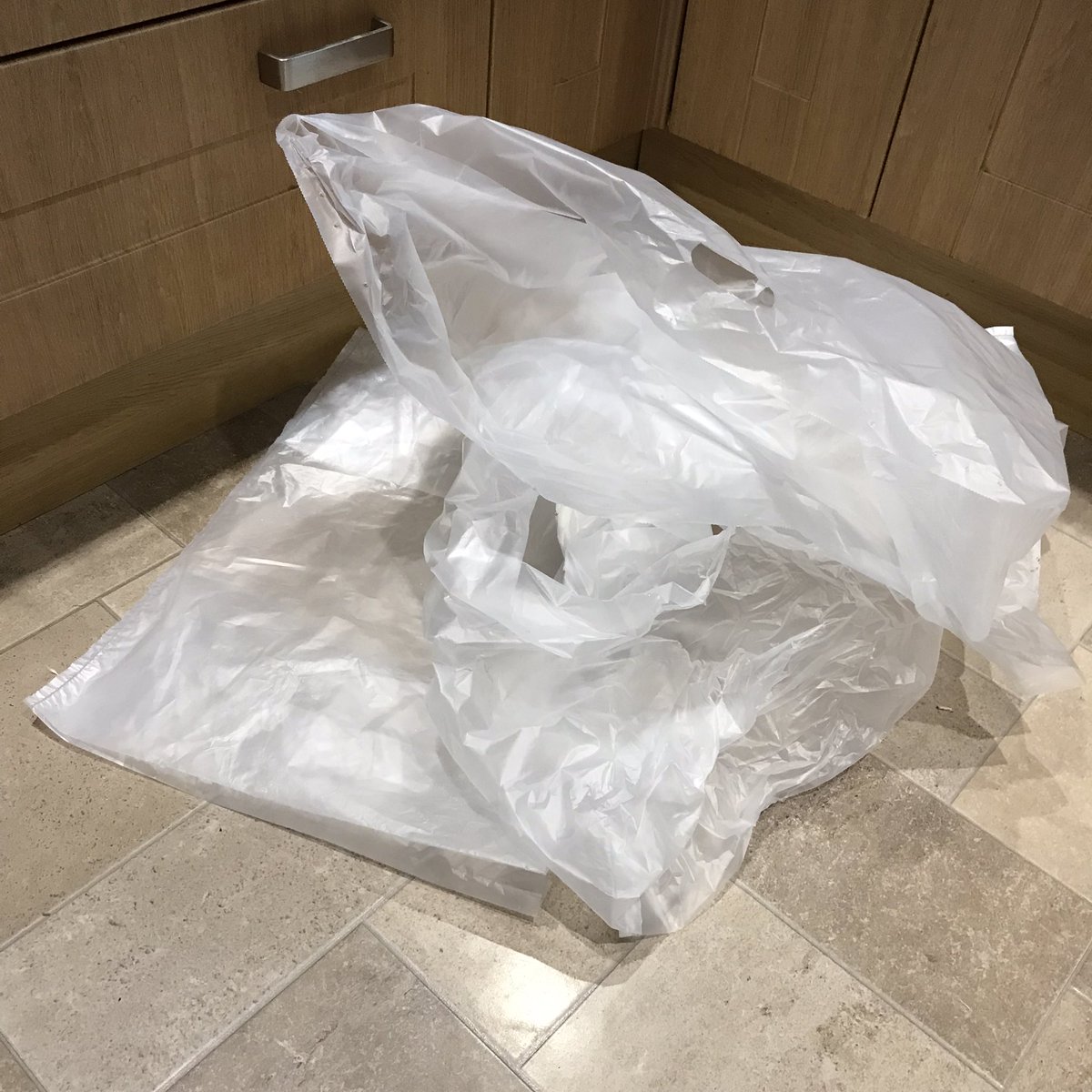 MrsIronmonger's tweet photo. @IcelandFoods These new bags are rubbish. Literally. No good for anything else so straight in the bin. Not much good for receiving the delivery in either, bet the drivers hate them. https://t.co/iuMPkCfmsj