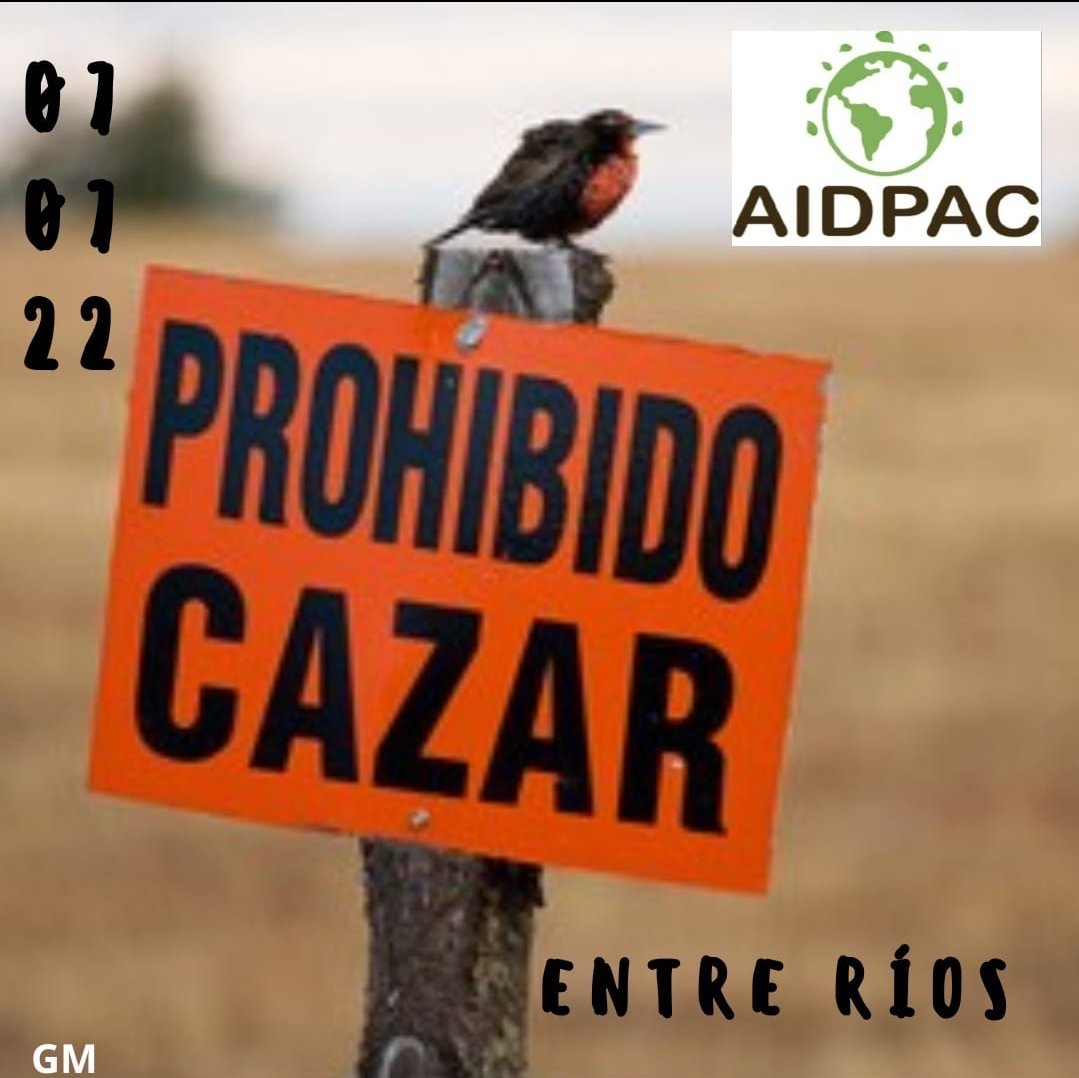 haraselaromo's tweet photo. Desde #AIDPAC 🇦🇷 celebramos otro fallo Jucidial ⚖️📖🖊donde se prohibe la caza menor en la provincia de Entre Ríos.
La sentencia contra la resolución Nº 1.099/22.

#AIDPAC 🇦🇷
#FalloJudicial
#EntreRios
#EspeciesAutoctonas
#ProhibidoCazar
#MaltratoAnimal
#HaceLaDenuncia https://t.co/tOB6EXLjVX