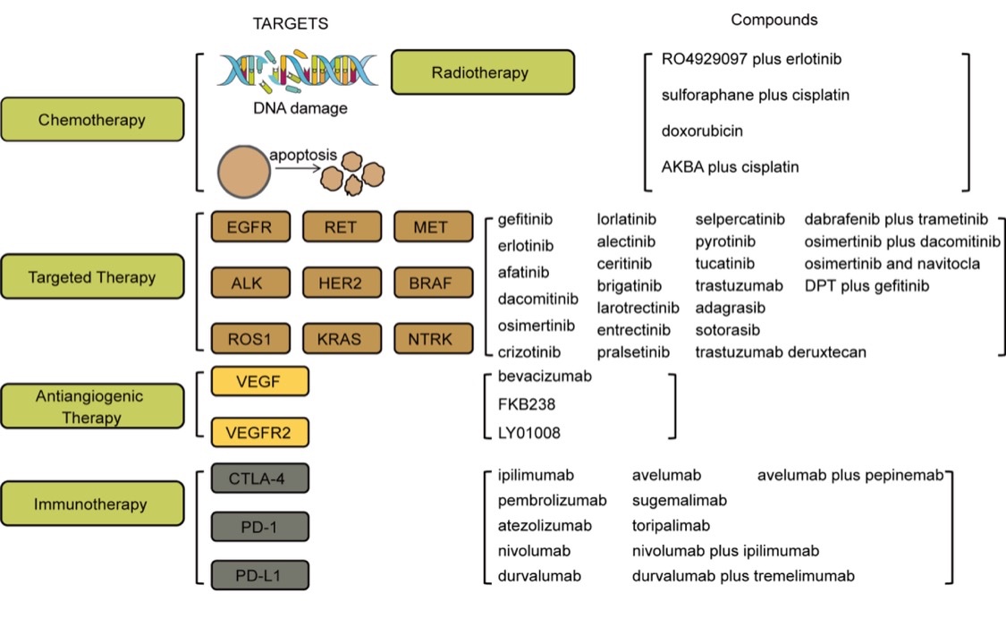 JorgeAlatorreA1's tweet photo. Interesting review of #updates on #treatments and #diagnostic methods for #non-small cell #lungcancer.🫁
https://t.co/sCHB2EHnBw https://t.co/JC5MSvjplh
