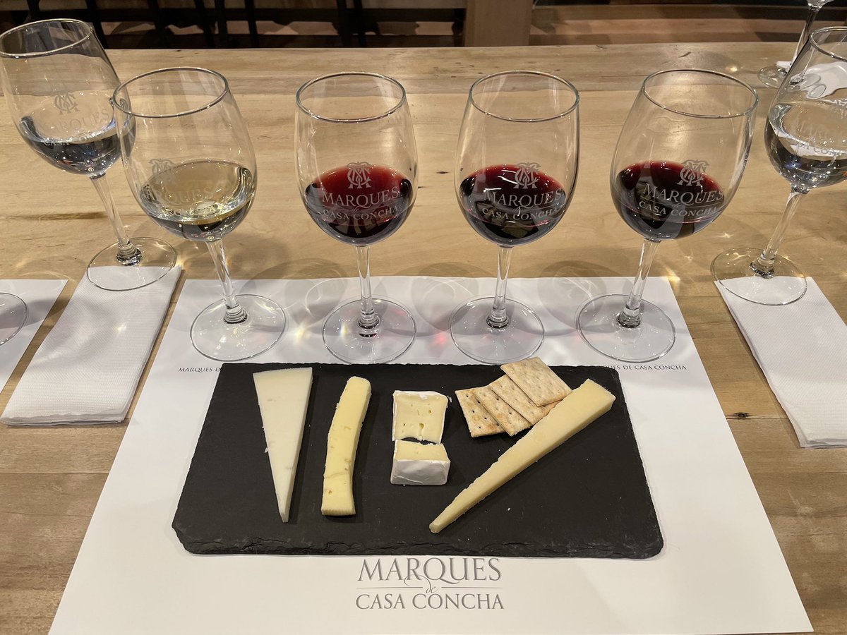 milachannn's tweet photo. In meinen letzten Wochen möchte ich noch einmal so viel es geht mitnehmen. Und was wäre ein Auslandsaufenthalt in Chile ohne den Weltklasse-Wein probiert zu haben? Genau deshalb ging es letzte Woche für uns zum Weingut Concha y Toro in der Nähe von Santiago. #studierenweltweit https://t.co/ZzCFeOwyKO