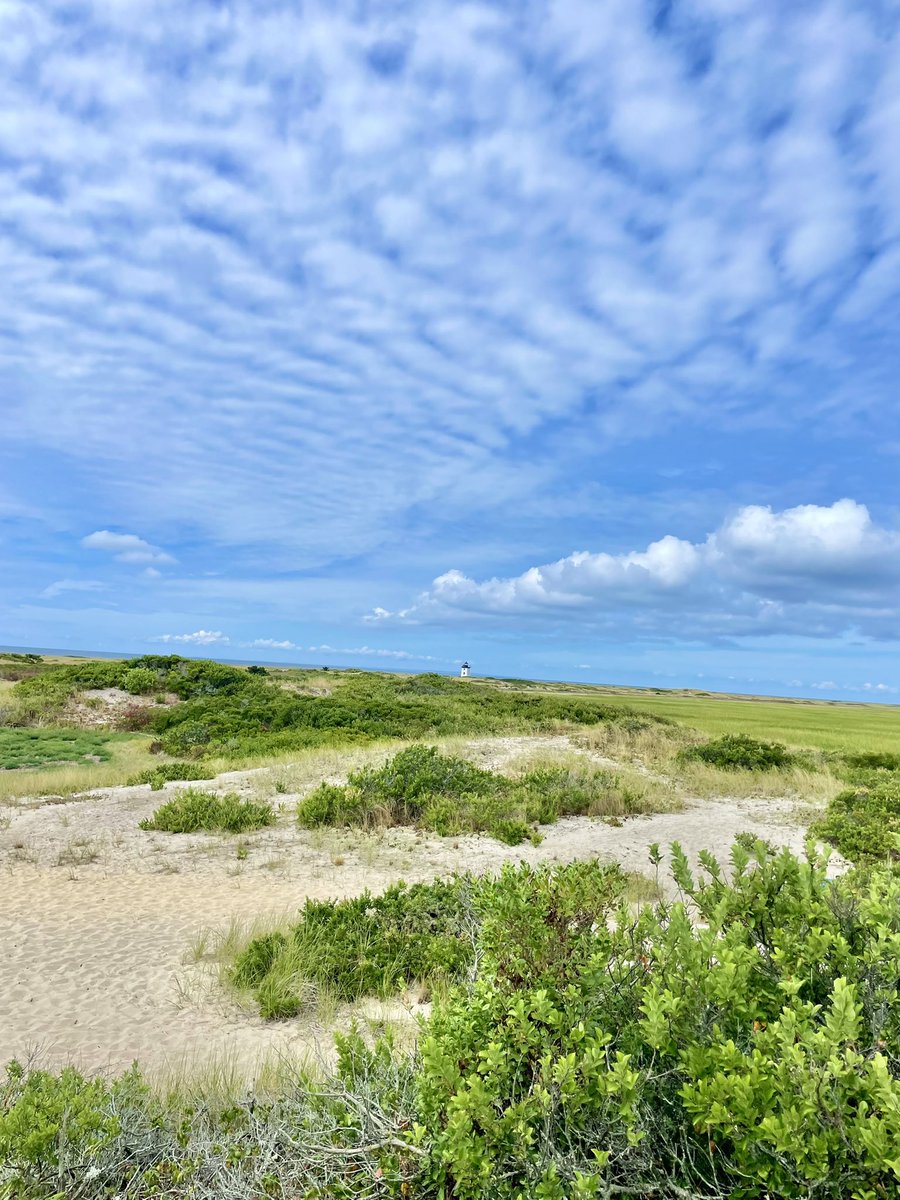 susantran's tweet photo. #228/365 Grateful for getting some steps in as we did the #JettyWalk. Long weekend is coming to an end. #Gratitude2022 https://t.co/2CMkJN2FWG