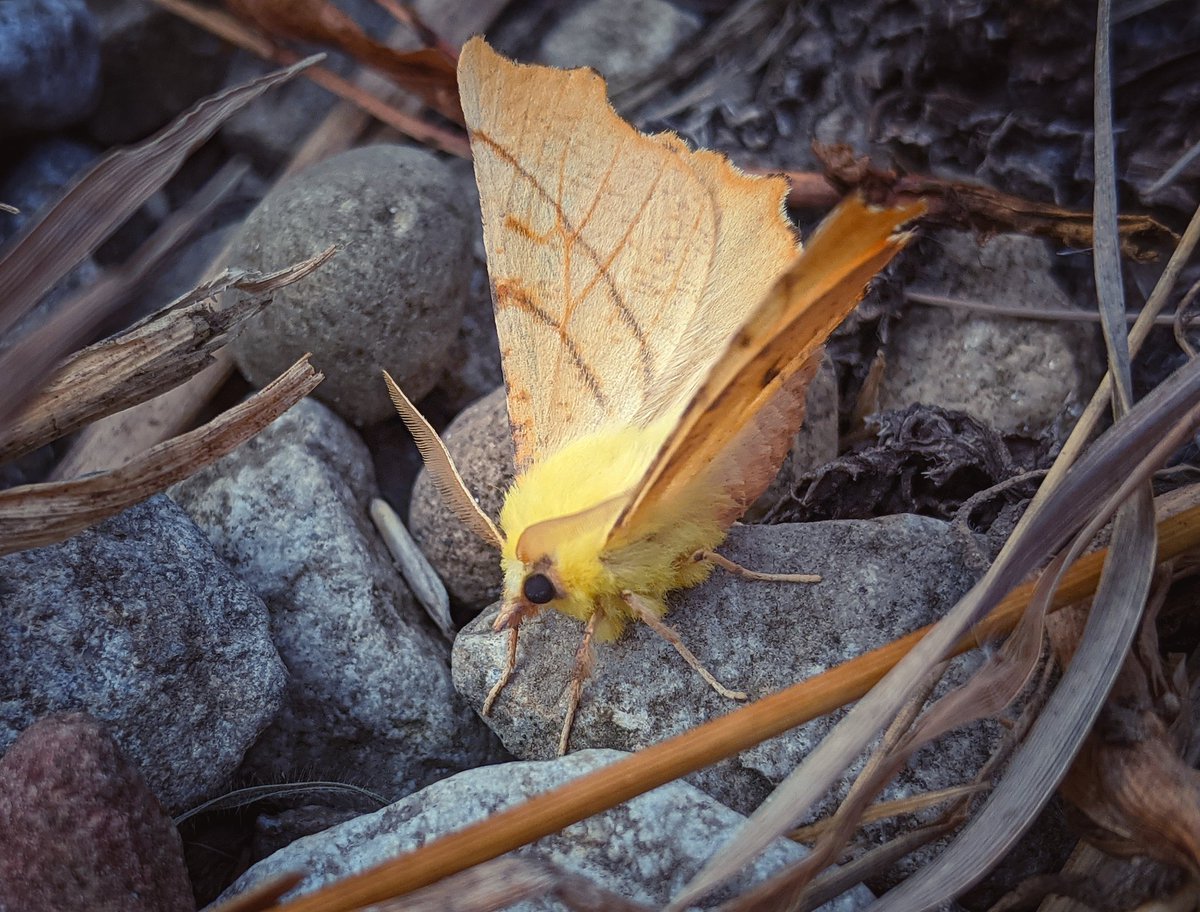 Lindsey💙 🇺🇦 tweet media